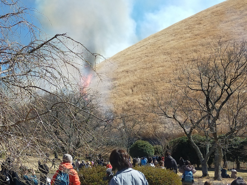 伊東の神事、山焼きの様子を伝える