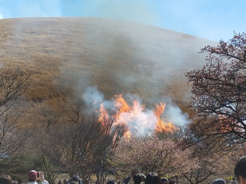 伊東の神事、山焼きの様子を伝える
