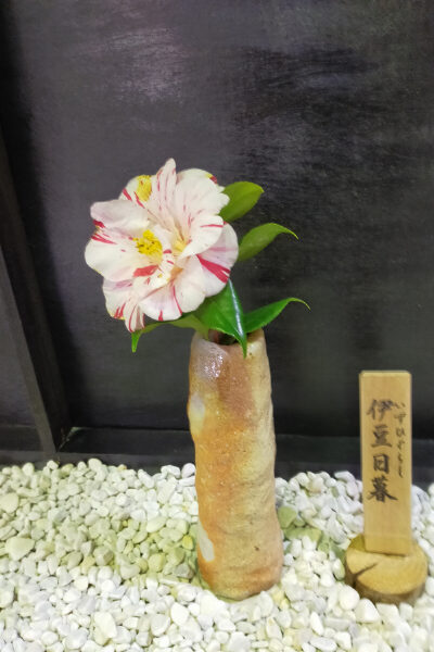 伊豆日暮