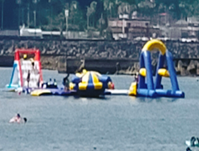 夏は海
