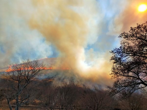 伊東の神事、山焼きの様子を伝える